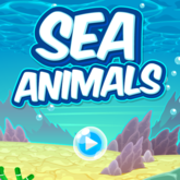 Sea Animals